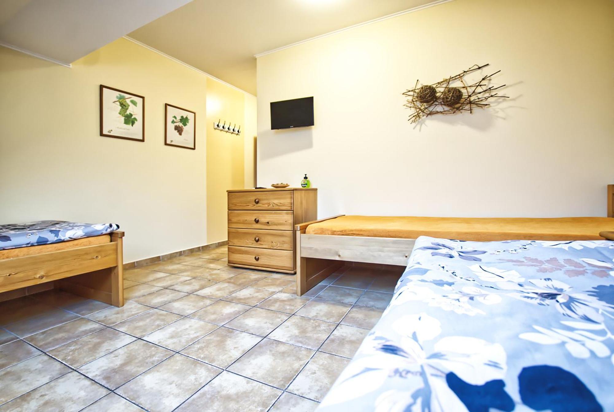 Penzion Vinarstvi Cervinka Horni Vestonice Exterior foto