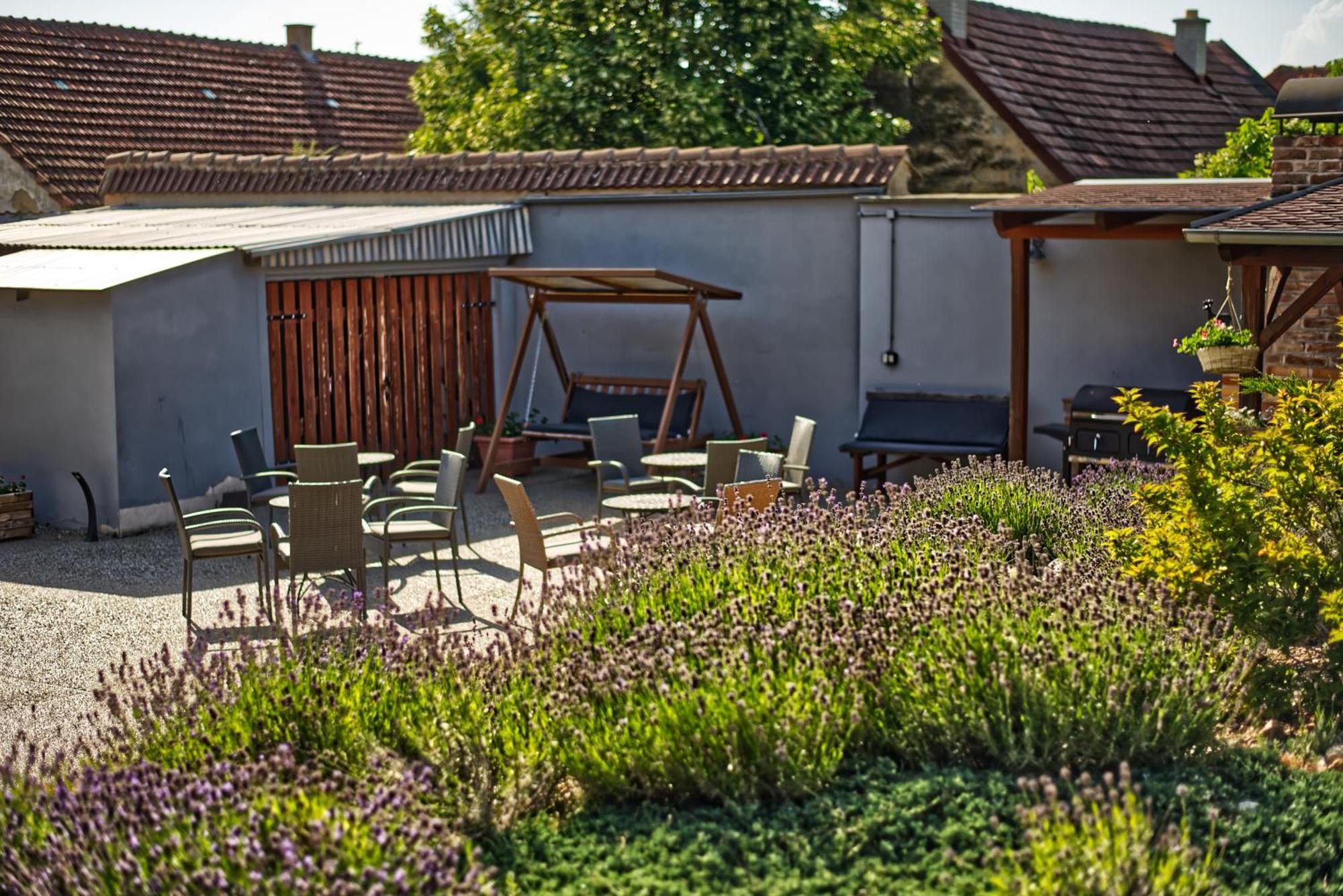 Penzion Vinarstvi Cervinka Horni Vestonice Exterior foto