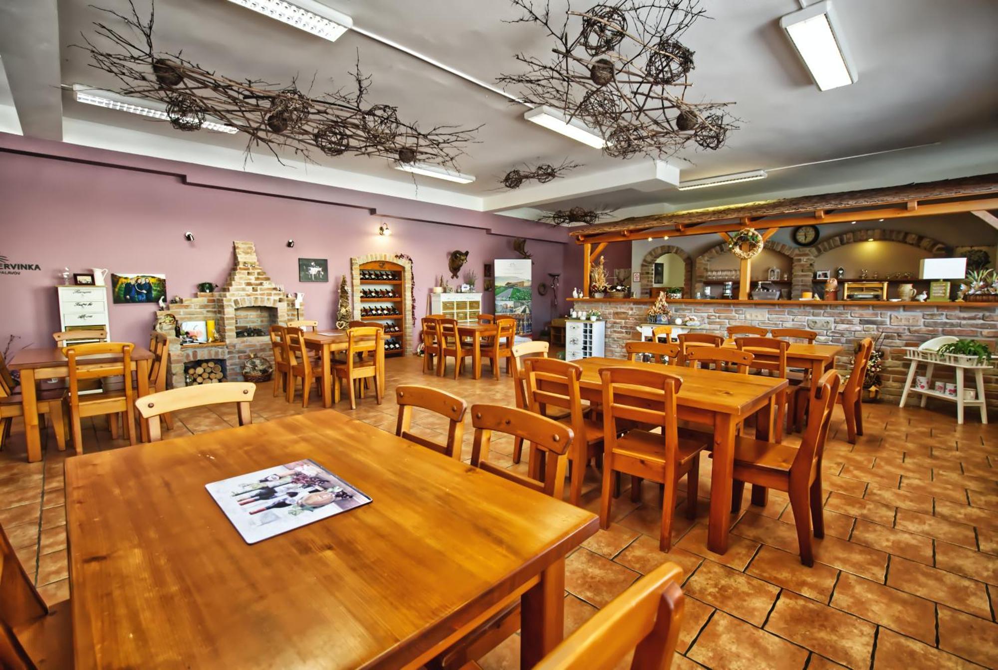 Penzion Vinarstvi Cervinka Horni Vestonice Exterior foto